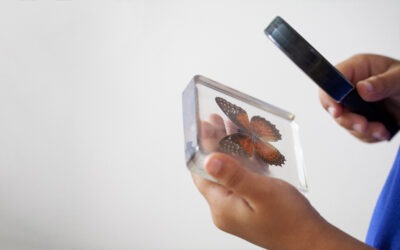 The Epic Design Challenge Confronting Educators