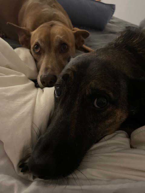 Beck and Oliver Christmas