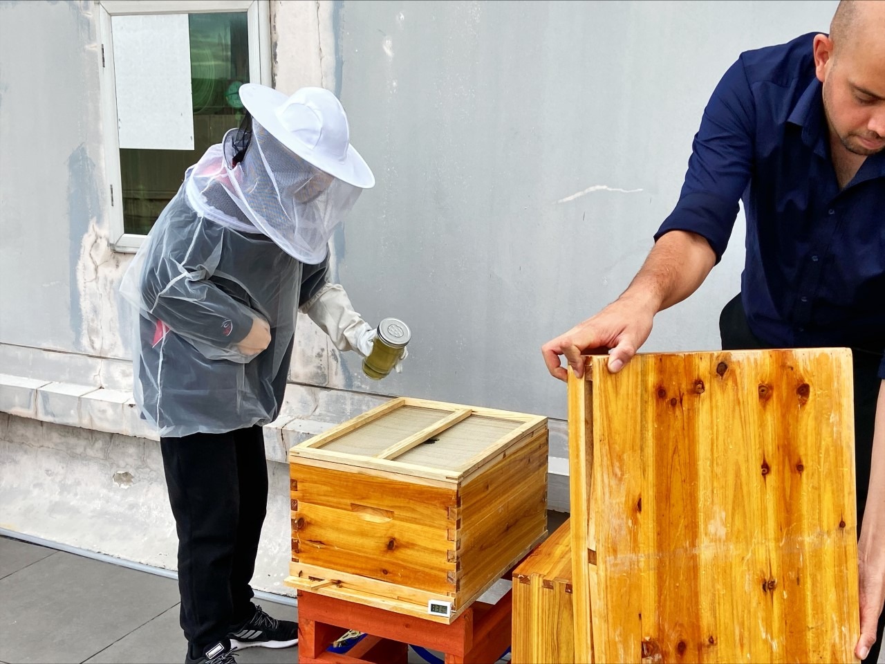 Bees 2 beekeeper program
