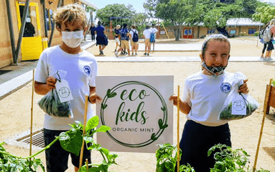 Eco Kids at the International School of Aruba