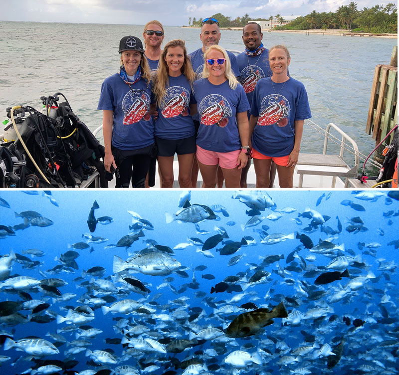 Diving-team-and-groupers