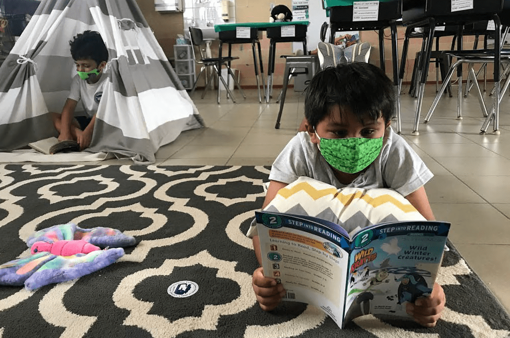fostering a love of reading in schools