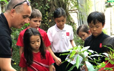 Connecting Students with Nature, Big and Small