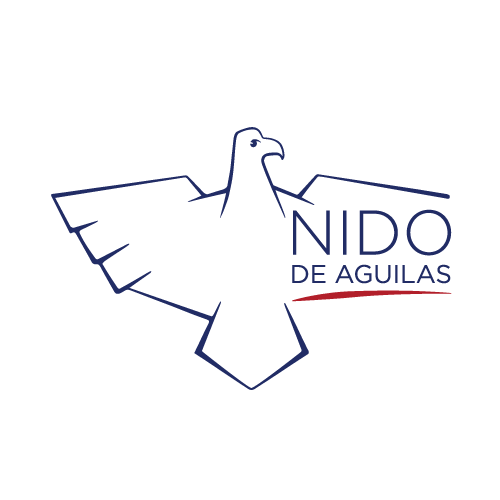 Nido-Eagle-NDA-logo-final-transparent (1)