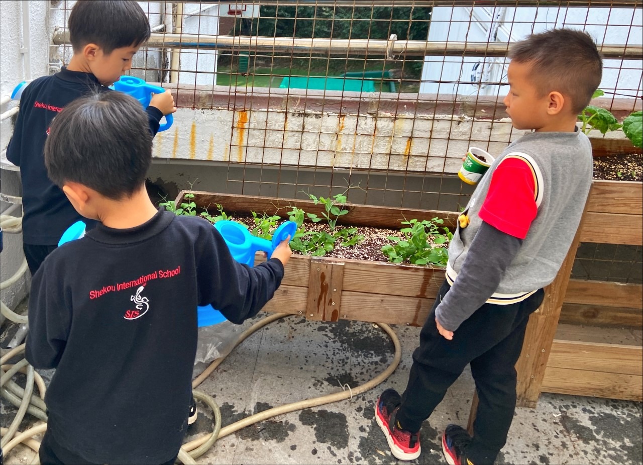 Watering 3 students gardening