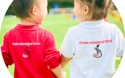 ISS EDUlearn® Safeguarding Bundles