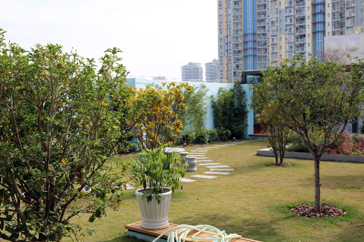 tranquil-garden-international-school