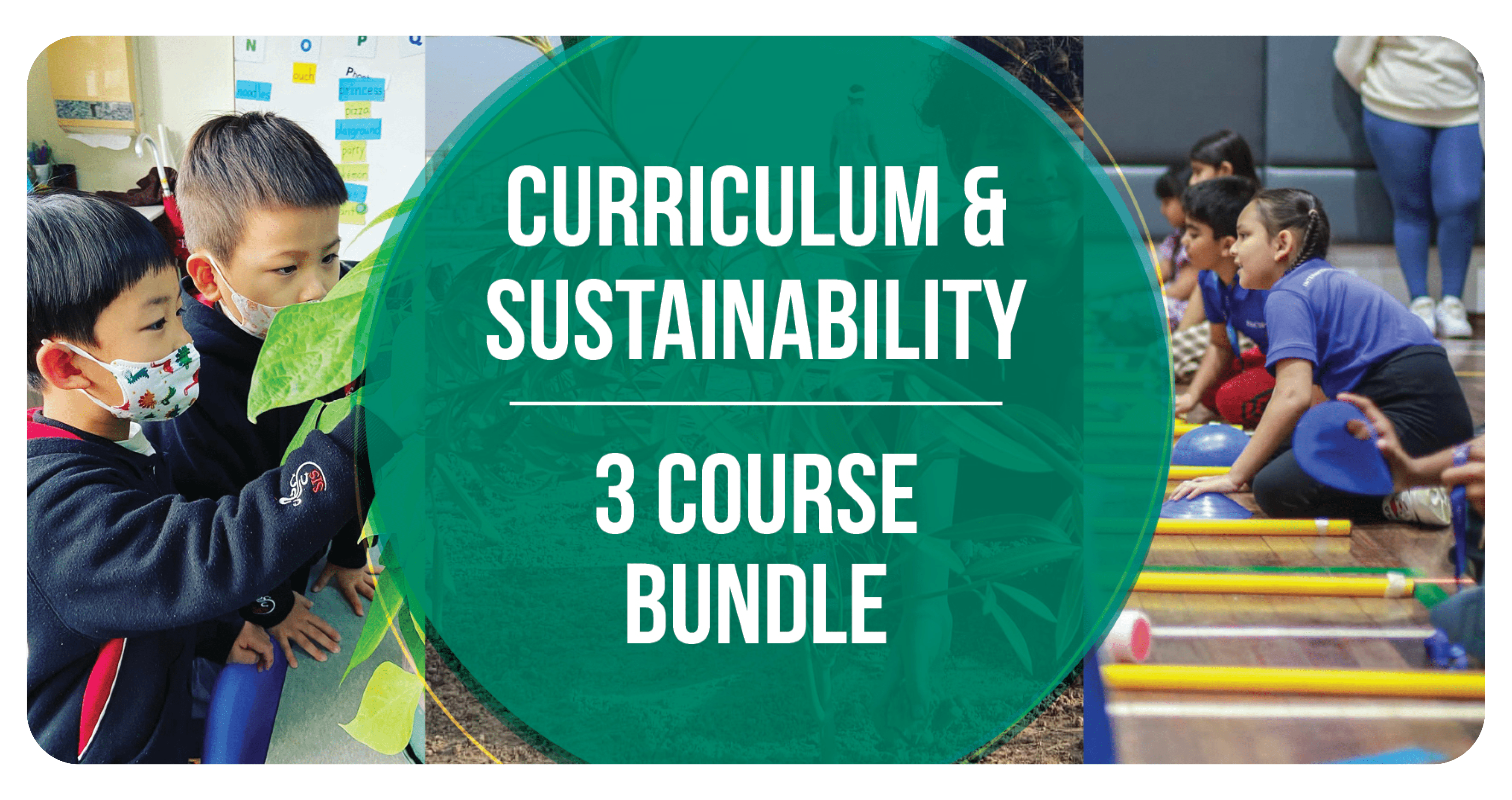 web_power pack_tile-curriculum